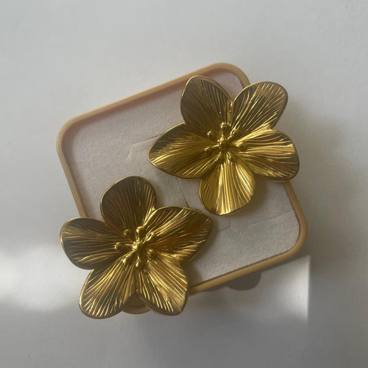 Boucles "Vaïana"