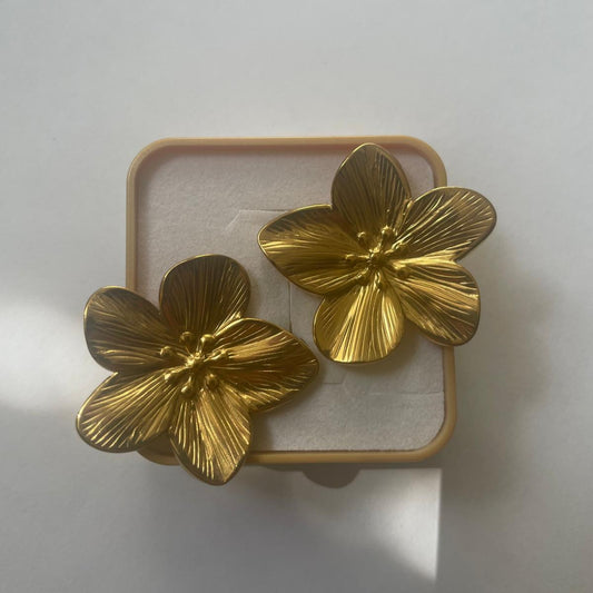 Boucles "Vaïana"